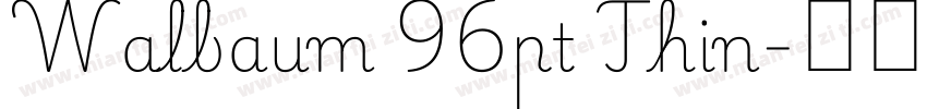 Walbaum 96pt Thin字体转换